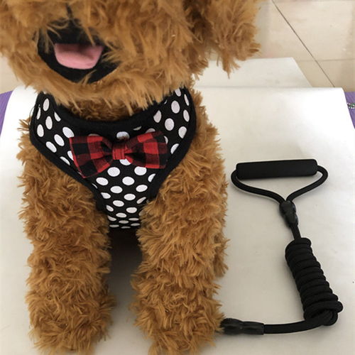小型犬泰迪狗繩子中型犬胸背帶背心牽引繩寵物狗鏈子比熊狗狗用品