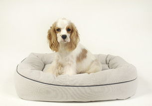 高清西班牙圖片下載 西班牙風景圖大全 千圖網(wǎng)