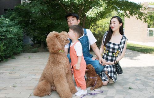 狗狗當(dāng)“家教” 萌寵叼衣架監(jiān)督小主人寫作業(yè)，神似操心老母親