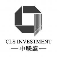 中聯(lián)盛國際投資控股